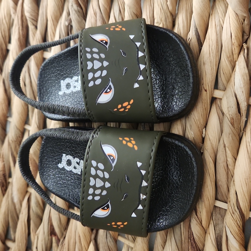 Baby Dinosaur Slides  2C